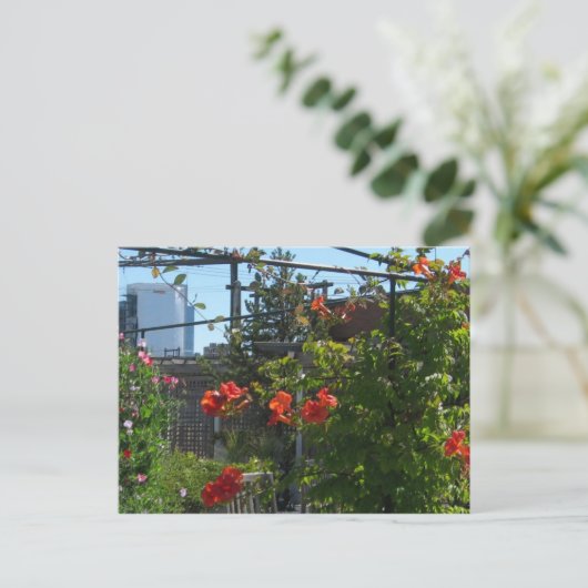 Carte postale du jardin d'août (Debout devant)