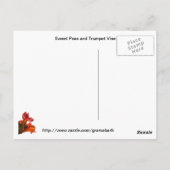 Carte postale du jardin d'août (Dos)