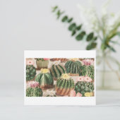Carte postale du jardin de cactus (Debout devant)