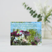 Carte postale du jardin de la Force de l'Amitié (Debout devant)