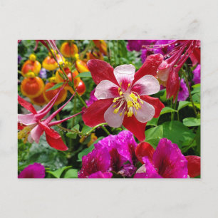 Carte postale du jardin d'été