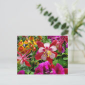 Carte postale du jardin d'été (Debout devant)