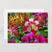 Carte postale du jardin d'été (Devant / Derrière)