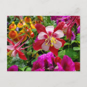 Carte postale du jardin d'été (Devant)