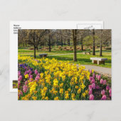 Carte postale du jardin fleuri de printemps (Devant / Derrière)