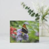Carte postale du jardin papillon (Debout devant)