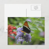 Carte postale du jardin papillon (Devant / Derrière)