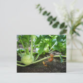 Carte postale du jardinier de printemps de l'elfe (Debout devant)