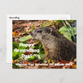 Carte postale du jour de la marmotte (Devant / Derrière)