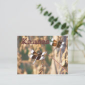 Carte postale du Kansas : libellules (Debout devant)