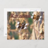 Carte postale du Kansas : libellules (Devant / Derrière)