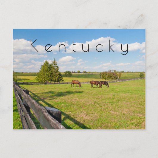 Carte postale du Kentucky, chevaux à la ferme à ch (Devant)