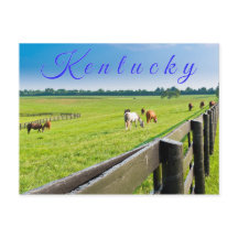 Carte postale du Kentucky. Chevaux à la ferme à ch