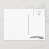 Carte postale du lac Burton (Dos)