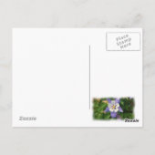 Carte postale du lac Dillon Colorado (Dos)