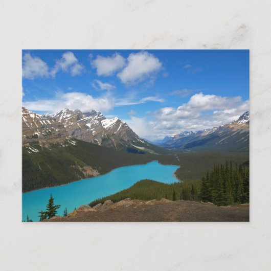 Carte postale du lac Peyto (Devant)