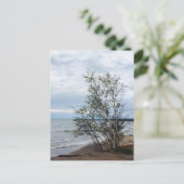 Carte postale du lac Supérieur (Debout devant)