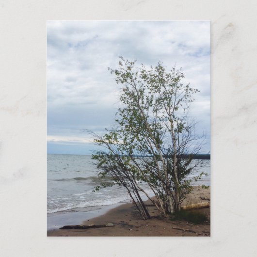 Carte postale du lac Supérieur (Devant)