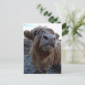 Carte Postale du lait ? ! (Debout devant)