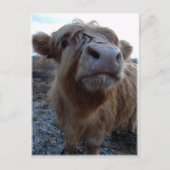 Carte Postale du lait ? ! (Devant)