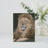 Carte postale du lion fier (Debout devant)