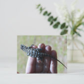 Carte postale du Lizard de clôture sud (Debout devant)