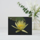 Carte postale du Lotus d'eau jaune (Debout devant)