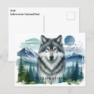 Carte postale du loup de Yellowstone