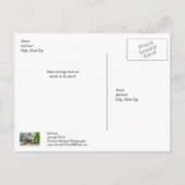 Carte postale du magasin Oark General (Dos)