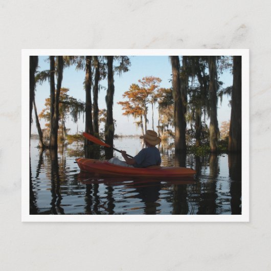 Carte postale du marais Henderson (Devant)