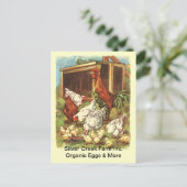 Carte postale du marché des poulets de poulet bio  (Debout devant)