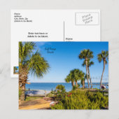 Carte postale du matin à Bayside avec des palmiers (Devant / Derrière)