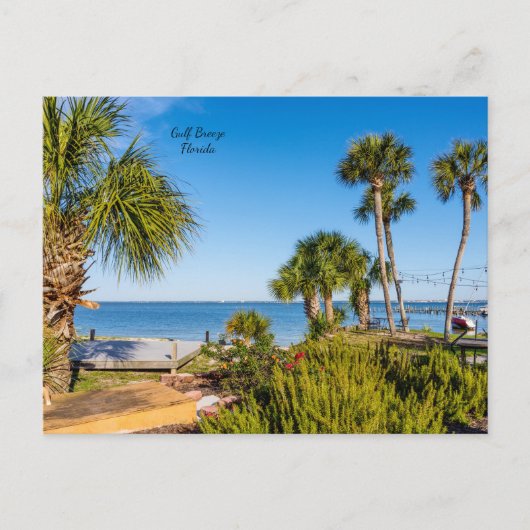 Carte postale du matin à Bayside avec des palmiers (Devant)