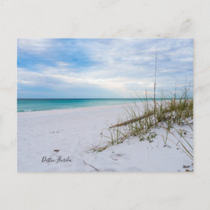 Carte postale du matin avec avoine de mer et sable