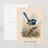 Carte postale du Mérion à dos bleu | Édition Bush (Devant / Derrière)