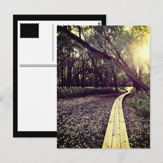 carte postale du minnesota (Devant / Derrière)