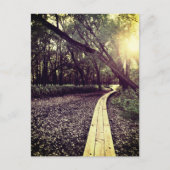 carte postale du minnesota (Devant)