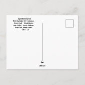 Carte postale du mois de naissance août Léo (Dos)