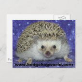 carte postale du monde des hérissons (Devant / Derrière)