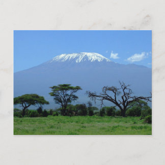 Carte postale Du Mont Kilimandjaro