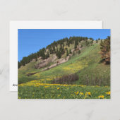 Carte postale du mont Otis (Devant / Derrière)