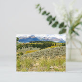 Carte postale du Montana (Debout devant)