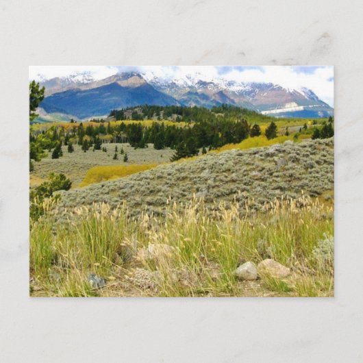 Carte postale du Montana (Devant)