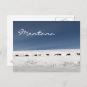 Carte postale du Montana (Devant / Derrière)
