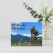 Carte postale du Mt. Washington, NH (Debout devant)