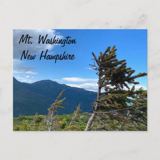 Carte postale du Mt. Washington, NH (Devant)