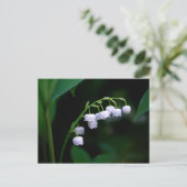 Carte postale du muguet (Debout devant)