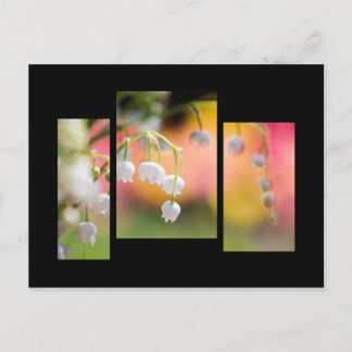 Carte postale du muguet