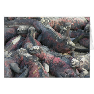 Carte postale du pacte monstre