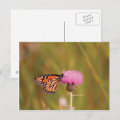 Carte postale du papillon monarque (Devant / Derrière)